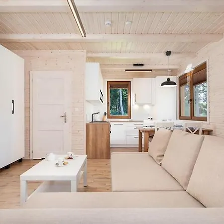 Comfortable No 3 , Summer Pool Rewal